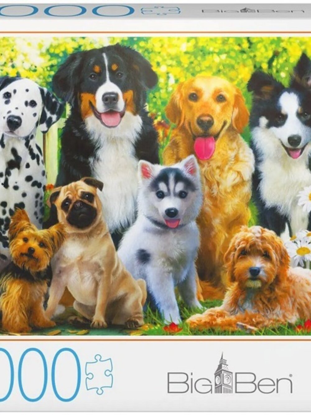 Lisa Alderson: Dog Jigsaw (used 1000 piece import jigsaw puzzle)